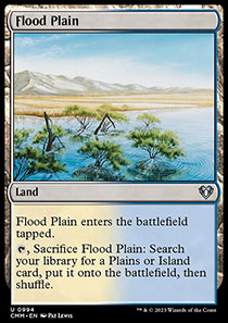 Flood Plain