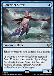 Galerider Sliver