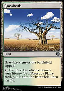 Grasslands