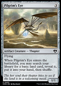 Pilgrim's Eye