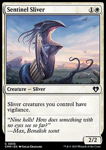 Sentinel Sliver