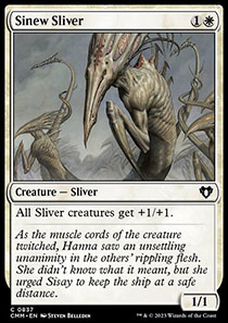 Sinew Sliver