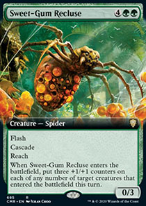 Sweet-Gum Recluse