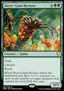 Sweet-Gum Recluse