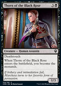 Thorn of the Black Rose