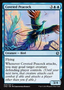 Coveted Peacock