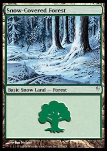 Snow-Covered Forest