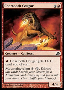 Chartooth Cougar