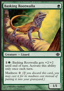 Basking Rootwalla