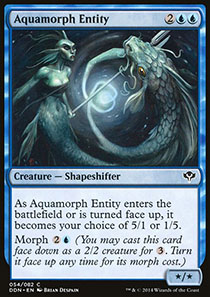 Aquamorph Entity