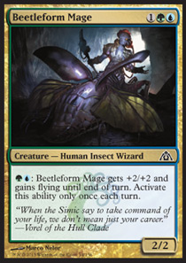 Beetleform Mage