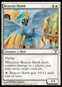 Beacon Hawk