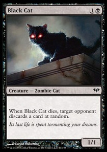 Black Cat