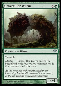 Gravetiller Wurm