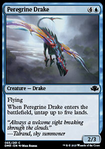 Peregrine Drake