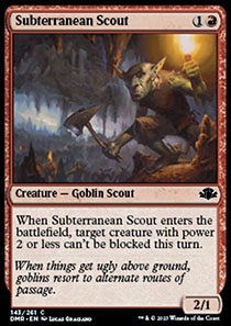 Subterranean Scout