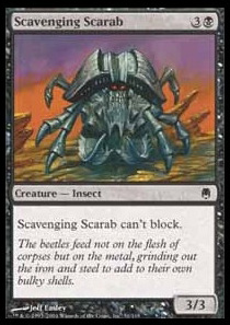 Scavenging Scarab