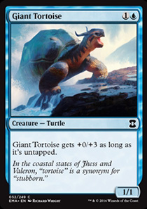 Giant Tortoise