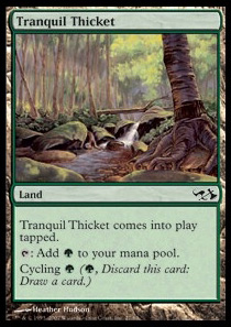 Tranquil Thicket