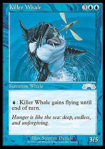 Killer Whale