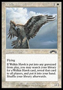 Welkin Hawk