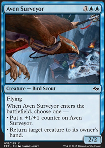 Aven Surveyor