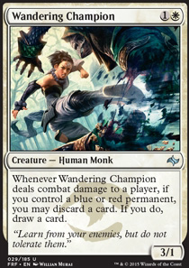 Wandering Champion