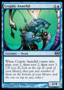 Cryptic Annelid