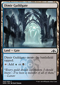 Dimir Guildgate