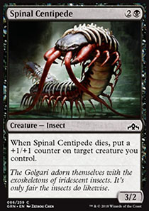 Spinal Centipede