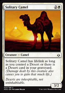 Solitary Camel