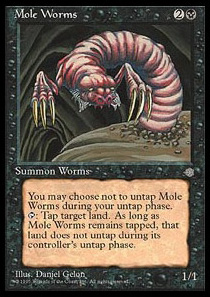 Mole Worms