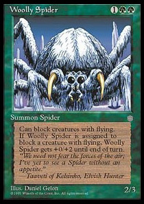 Woolly Spider