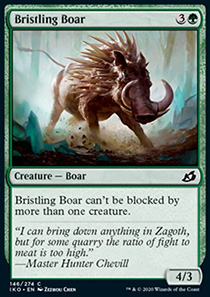 Bristling Boar