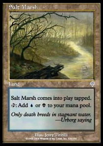 Salt Marsh