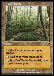 Tinder Farm