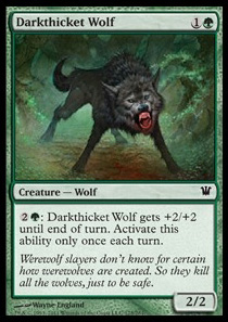 Darkthicket Wolf