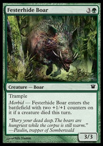 Festerhide Boar