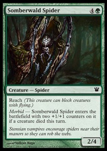 Somberwald Spider