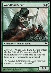 Woodland Sleuth