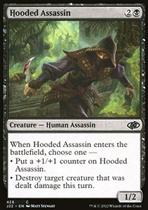 Hooded Assassin