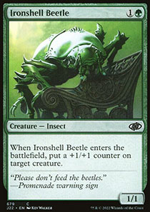 Ironshell Beetle