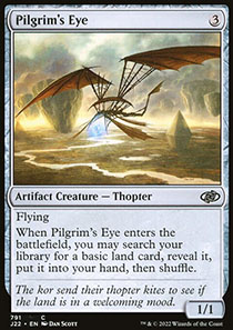 Pilgrim's Eye