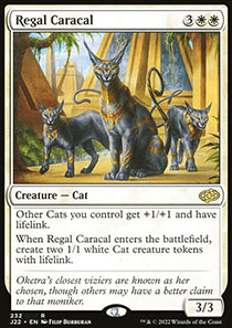 Regal Caracal