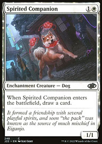 Spirited Companion