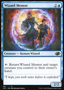 Wizard Mentor