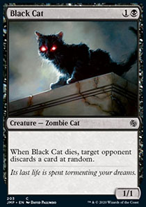 Black Cat