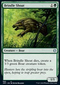 Brindle Shoat