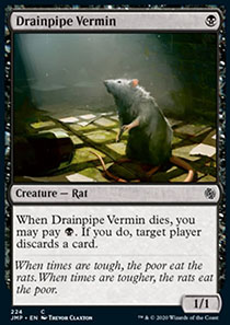 Drainpipe Vermin