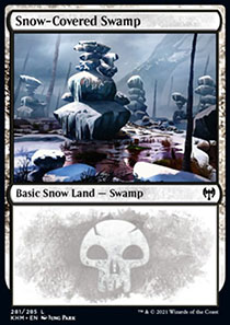 Snow-Covered Swamp